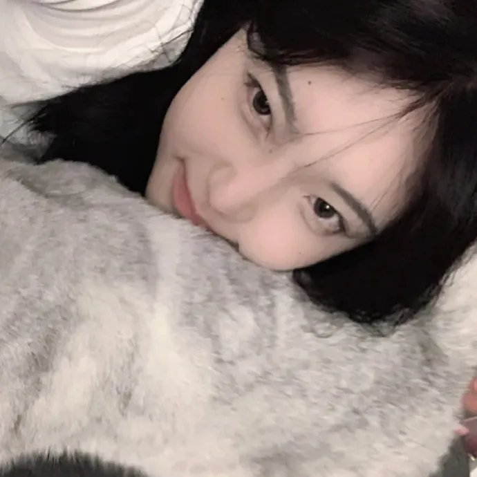 大灰熊2
